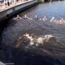 경희돌고래한의원 이미지