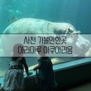 삼천포어린이집 | 사천 아라마루 아쿠아리움 주차 정보 요약 및 내돈내산 이용 후기
