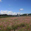 경포저류지 이미지