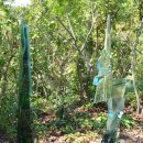 아미미술관 이미지