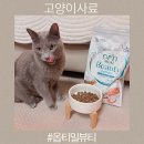 샤이니덴탈 | 민감 피부 고양이를 위한 옵티밀뷰티 저알러지 고양이사료