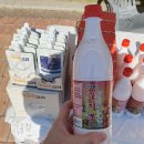 청도양조 | [행사] 경북 전통주 축제