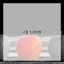 백산프라자 이미지