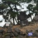 제주도토종흙돼지 이미지