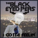 I Gotta Feeling / Black Eyed Peas 이미지