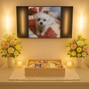 순천행동우체국 화장실 | 광양·여수에서도 찾는 이유, 순천반려동물장례식장 하늘별의 진심