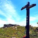 비바구 민박 | 여서도(2)_바람의 섬 여서도 일주산행