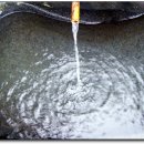 지리산화개깊은골 이미지