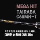 다솔FS 쇼핑하우