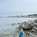 동백방파제 | [부산 아이랑 가볼만한곳] 기장 동백항 동백방파제 게잡기 후기, 6살 4살 아이랑 해루질
