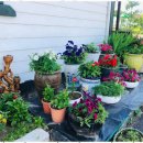 스마일펜션 이미지