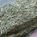 달나라 토끼농장 이미지