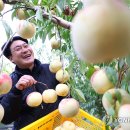 시목농장 이미지