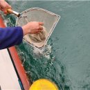 한국수산자원공단 이미지