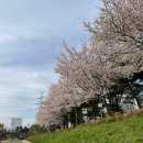 정림동행정복지센터 이미지