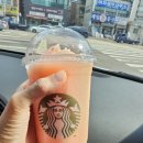 제주벅스코리아 이미지