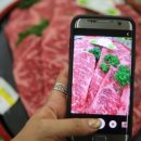 명품 TMR 사료 이미지