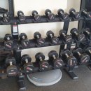 바디클락 이미지