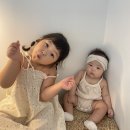 로로 7 (Roro7) 이미지