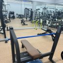 수신삼거리 | [송파동헬스장] 디렉스 천국의계단 내돈내산후기