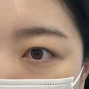 공드린 뷰티