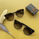 경북안경원 이미지