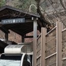 계리입구 소나무 숲 | [화담숲 후기] 단풍 끝나도 완전 만족! 서울 근교 나들이 코스·스탬프 투어 꿀팁 총정리