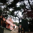 도봉사 치성광여래삼존도 이미지