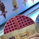 성화중국식품 | 칭다오 54광장 레이저쇼 명당 | 올림픽세일링센터·제3해변 해안 러닝코스