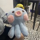 여수돌문어타코