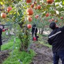 소보면사무소 이미지