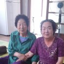 일송정 경로당 이미지