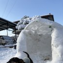 ❄️자연이 완성해준 이글루❄️ 이미지