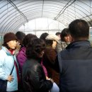 선후농장 이미지