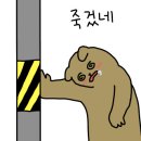 경태분식