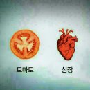 뷰티클리닉차만얼굴