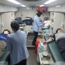 곡성사회복지회관 이미지