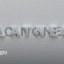 정1981 이미지