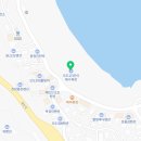씨유 오도라붐점 | 8/23-24 오도리 간이해수욕장 노무라입깃해파리후기