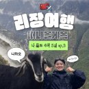 중도길 | 혼자서 4박 5일 리장 여행 - 중도객잔 현지투어 후기