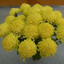 야로우체국 이미지