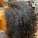 망한망친녹탄악성곱슬머리 극손상머리 토탈탈모복구매직클리닉전국유일무이탈모교정모발케어전문클리닉성지미용실/ 부산경남김해밀양거제진주사천울산양산장 이미지