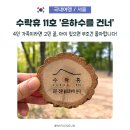 동막골쉼 | 수락산 자연휴양림 수락휴 11호 ‘은하수를 건너’ 벙커룸 왜 인기인지 알겠어요