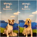 멍스 스쿨 이미지