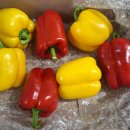 가우농장 이미지