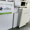 애견갤러리 강아지분양 애견샵 이미지