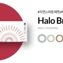 유일렌즈 이미지