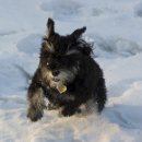 대관령스노우펜션 이미지