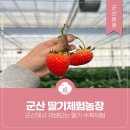 선한농장 이미지