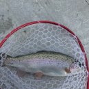 단강낚시터 이미지